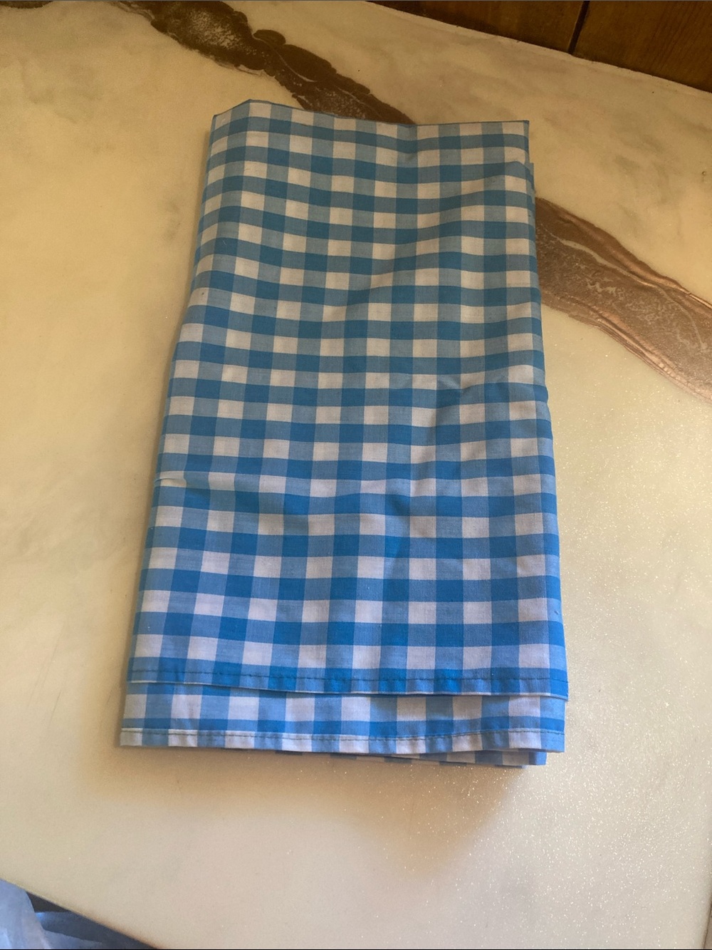 3/$10 SALE Blue and White Gingham Tablecloth / Fabric